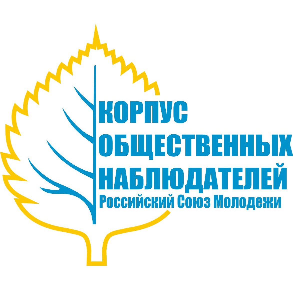 Корпус общественных наблюдателей РСМ Московской области